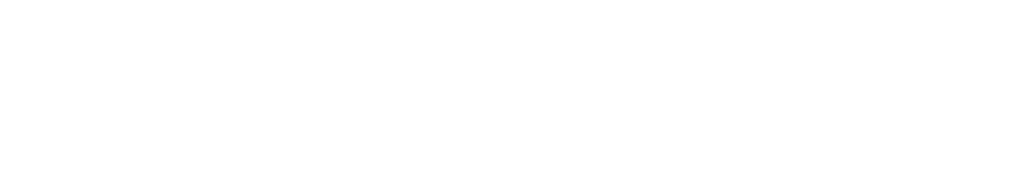 サベジを導入する流れ